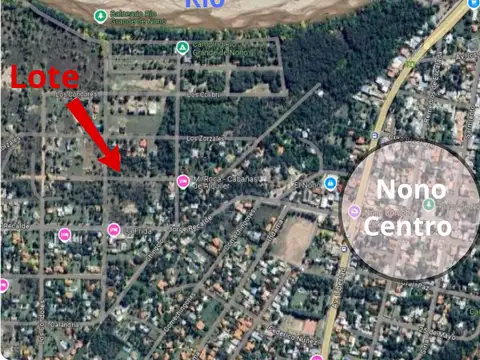 Rey del bosque y  Los Cardenales 100