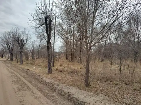 Terreno en Venta de 800,0 m2