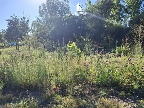 Terreno en Venta en Tunuyan, USD 54.000