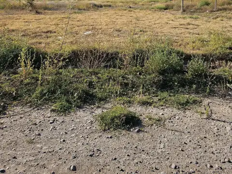 Terreno en Venta 30  mts Fondo
