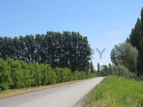 Terreno en Venta Rufina Cervantes