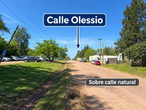 Olessio 3500