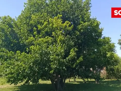Terreno en Venta de 1000,0 m2