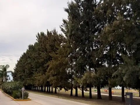 Casa en Alquiler de 4 dormitorios