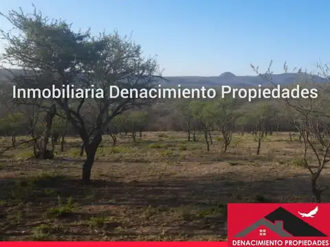 SE VENDEN LOTES EN SAN LORENZO