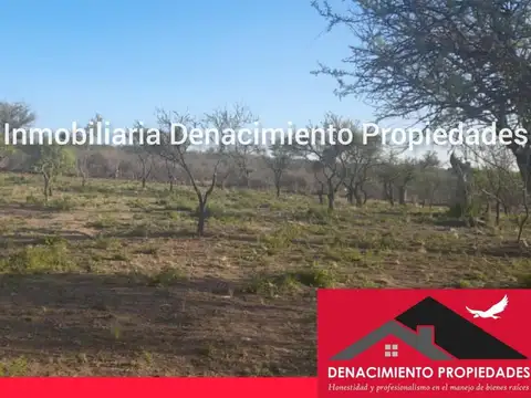 SE VENDEN LOTES EN SAN LORENZO