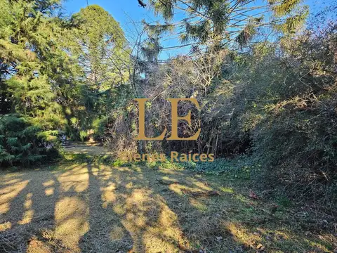 Venta terreno en Maquinista Savio