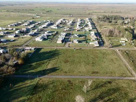 Pablo Neruda al 2900