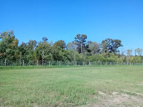 Puertos Barrio Nativas 100