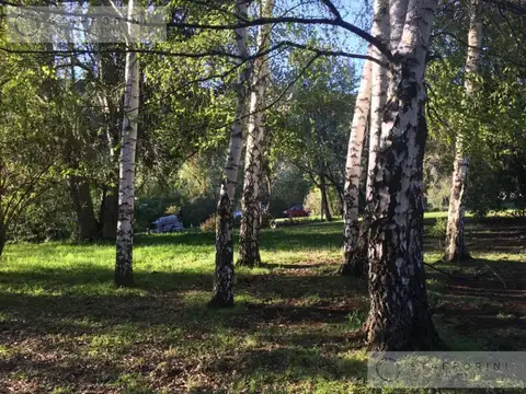 Terreno en Venta de 75000,0 m2
