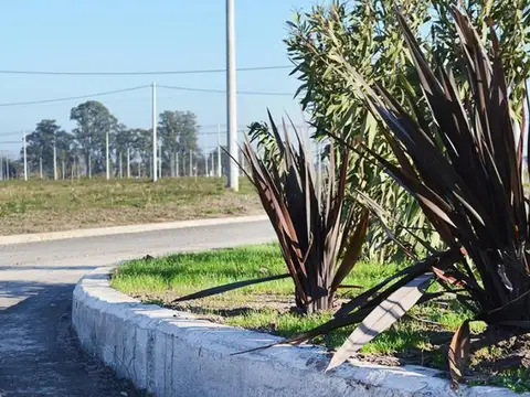 Terreno en Venta en Alvear, USD 50.000