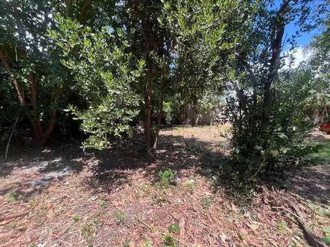 Terreno en Venta 22  mts Fondo