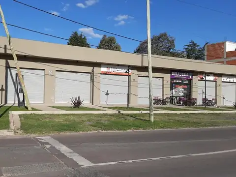 LOCALES COMERCIALES COLECTORA NORTE RUTA PANAMERICANA
