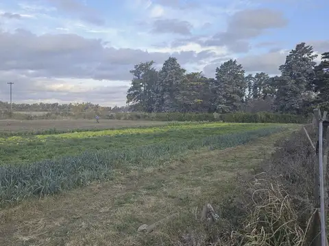 Campo en Venta en Lima, Partido de Zárate