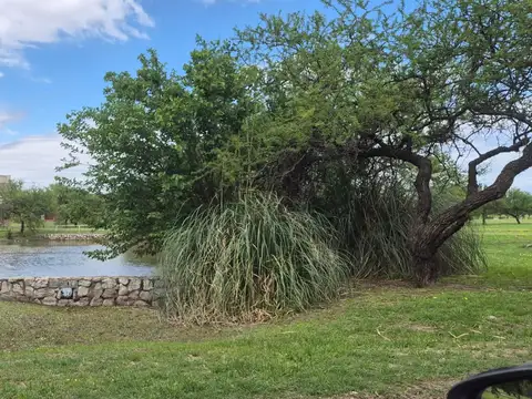 Terreno en Venta en Centro, USD 67.000