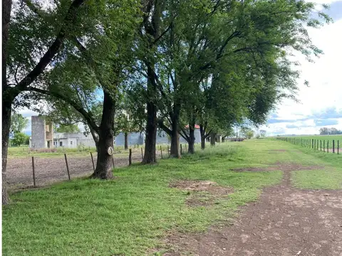 Camino Almeyra