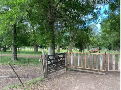 Venta de Campo de 512 has, con Casa Ppal, Casa de Caseros, G