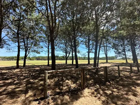 Terreno en Venta de 1571,0 m2