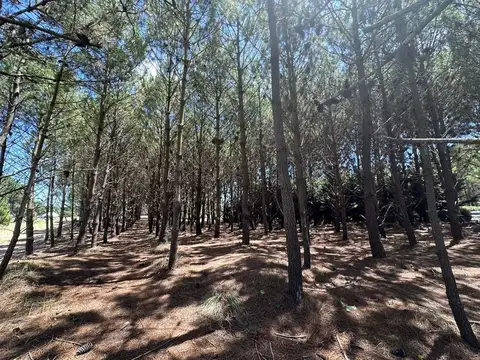 Lote - Venta - Argentina, Pinamar