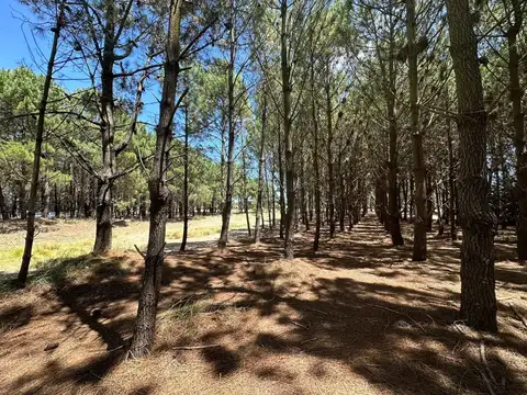Boulevard La Herradura