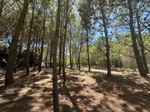 Terreno en Venta, FOT 0.4