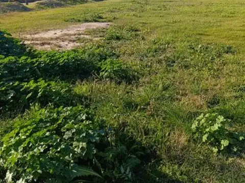 Terreno en Venta en Azzurra Tortugas, USD 160.000