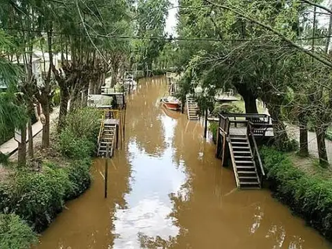 Primera Seccion De Islas Del Parana , Arroyo Leber 100