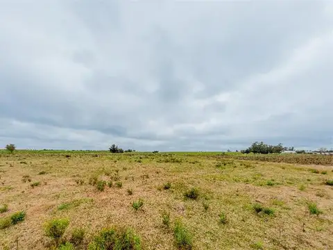 81.353 m².  Coneat de 185, Libertad