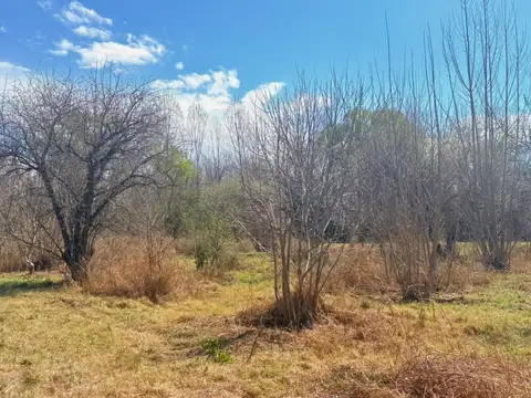 Terreno en Venta de 2000,0 m2