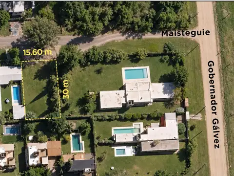 Maisteigue