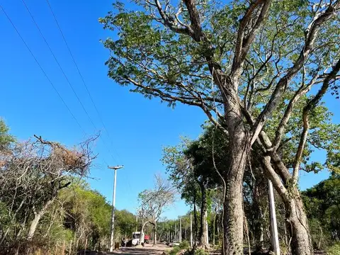 Terreno en Venta en Macrocentro, USD 19.720