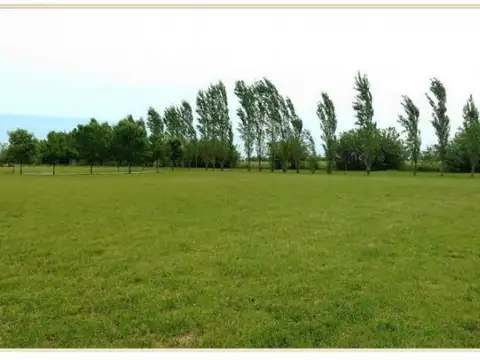 Haras de funes