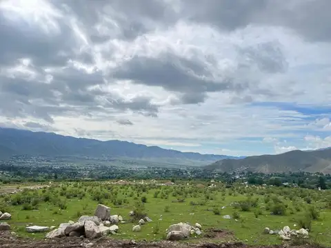 Terreno en Venta de 1000,0 m2