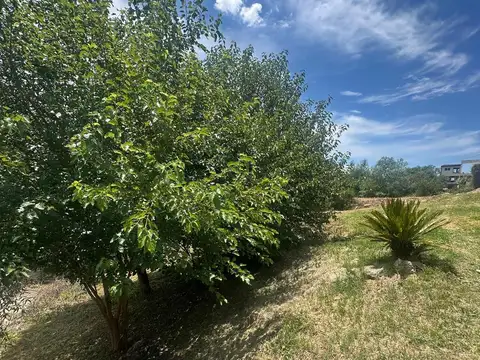 Terreno en Venta de 500,0 m2