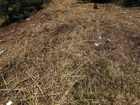 Terreno en venta en San Nicolas