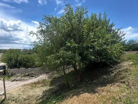 Terreno en Venta 10  mts Frente