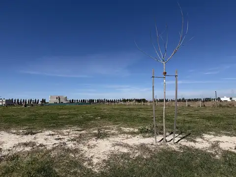 Lote en Venta en Bahia Villanueva 
