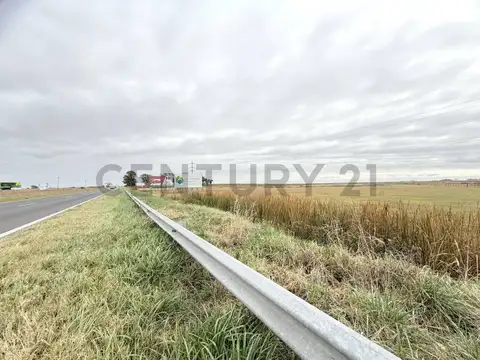 Campo de 8 hectáreas sobre Ruta Nacional 8 con renta publicitaria