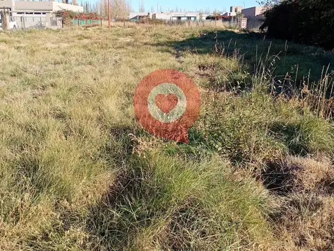 Los Arrayanes  - Barrio Manzanar Gines