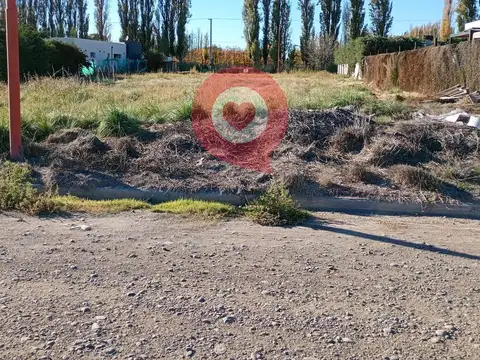 Los Arrayanes  - Barrio Manzanar Gines