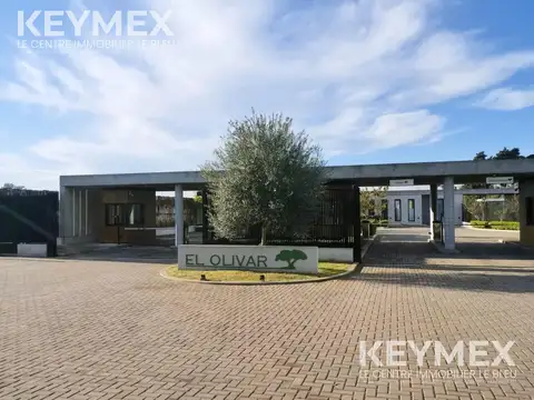 Terreno en venta en El Olivar