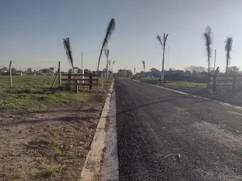 17 De Julio  Tristán Suárez, Ezeiza