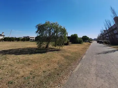 Terreno en Venta 20  mts Frente