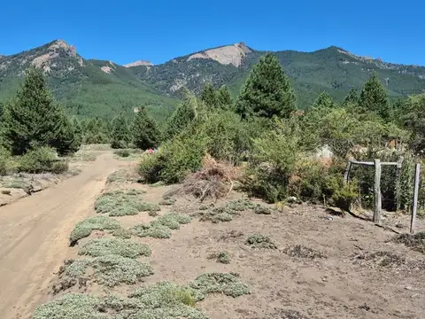 Hermoso lote en Meliquina