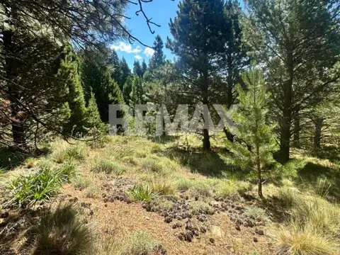 Terreno en Venta de 3197,0 m2