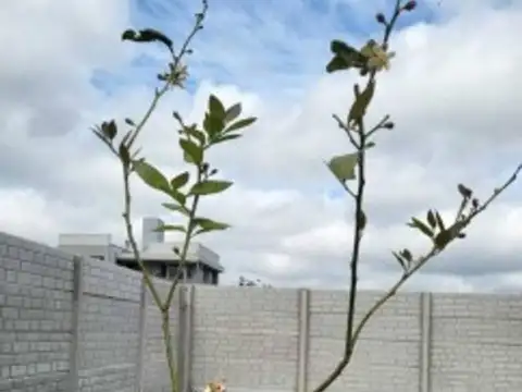 Terreno en Venta en Manuel B Gonnet, USD 32.000