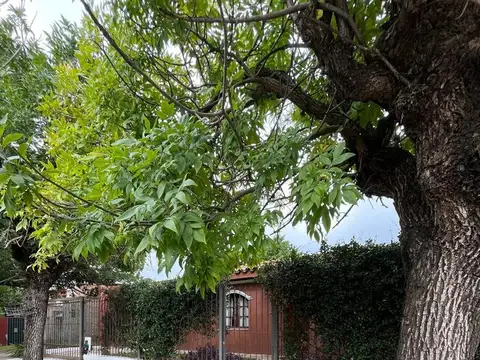 Casa en Venta 36 años