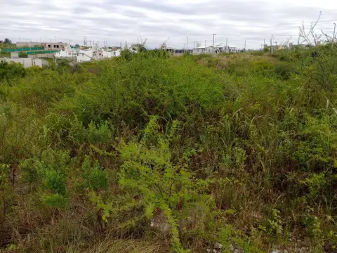 Terreno en Venta de 1000,0 m2