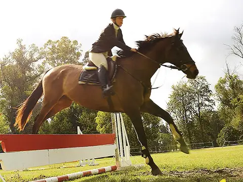 Estancia Villa Maria Los Silos 1l 63 I