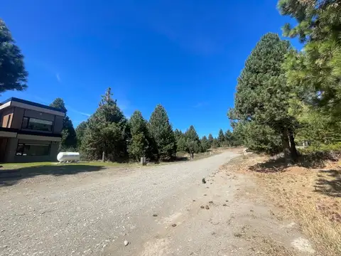 Paseo de los Sauces